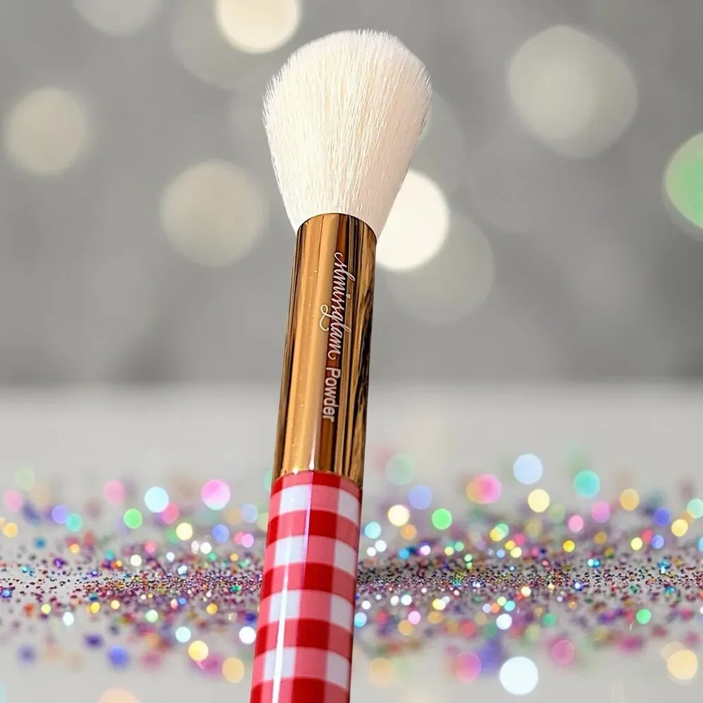 SLMISSGLAM  Gingham Face Brush Brand New MSRP $28